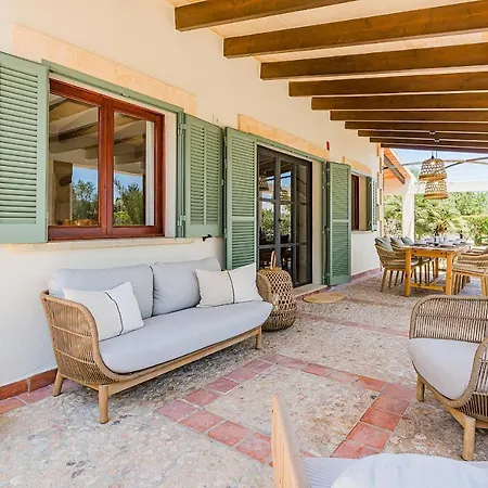 Oli Villa Pollença